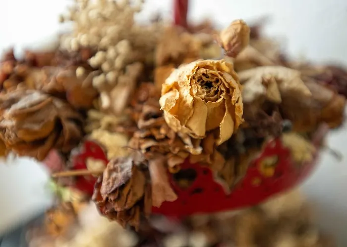 Appartamento Luvi - *